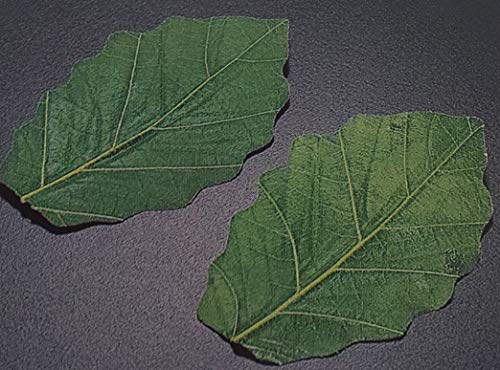 ~jti@G@j@100i50×2oj×30o ( L9-10cm×W6 )@Ɩp@aَqo