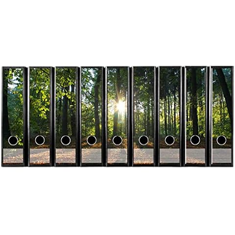 codiarts.® Set of 9 self-Adhesive File Labels for Wide Files, Motif: Sunshine in The Forest Cover