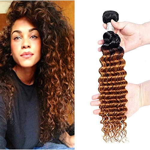 Fengde Hair 8A Ombre Brazilian Deep Wave Virgin Hair One Bundle 100% Unprocessed Human Hair Extensions(24,1B/30)