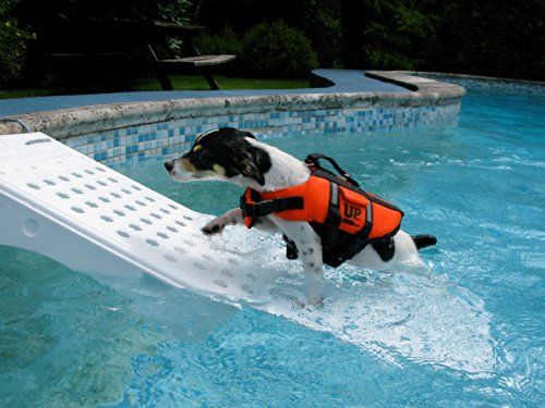 Skamper Ramp Super, Large Size, 42 x 13 x 6.5 inch - Thumbnail 2