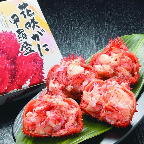 ԍ炪ɍb(K-08)ԍI ϔ kCCNZbg