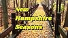 New Hampshire Seasons #1