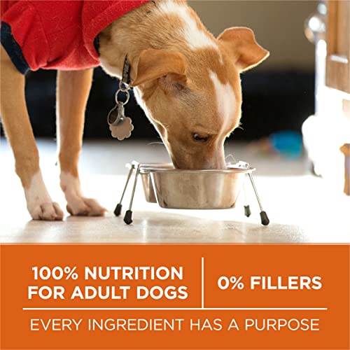 Purina ONE Plus Healthy Weight Dry Dog Food, Real Turkey, 16.5 lb Bag - image 8