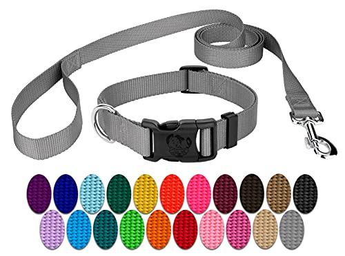 ��Brook�f�U�C���f���b�N�X�i�C������Collar and Leash Mini, 3/8 Inch Wide �V���o�[ NDCL-SIL-MI3.8