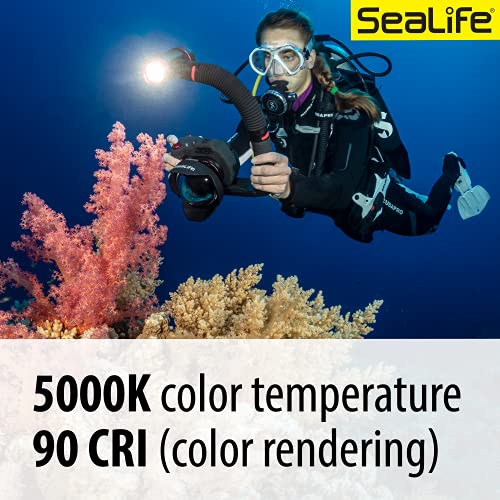 Sea Dragon 2500F - Thumbnail 6