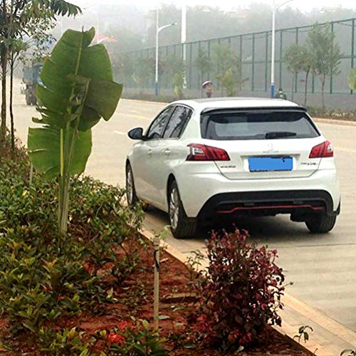 Wuwenjun Spoiler Posteriore del Bagagliaio della