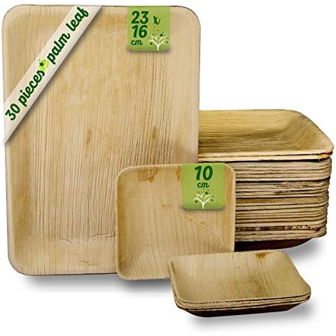 GoBeTree Bandejas Desechables de Hoja de Palma Cover