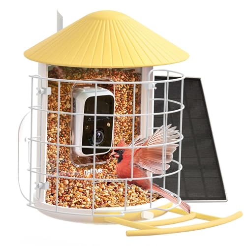 NETVUE by Birdfy Smart Bird Feeder with Camera & Shield