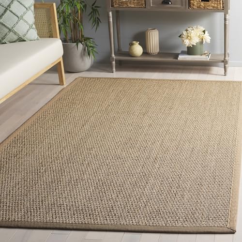 SAFAVIEH Natural Fiber Area Rug (4' x 6')