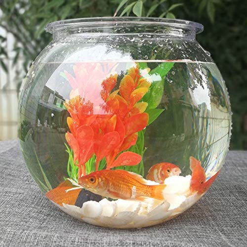 Amazon | 金魚鉢卓上透明プラスチック水槽丸亀水槽アクリル水槽緑