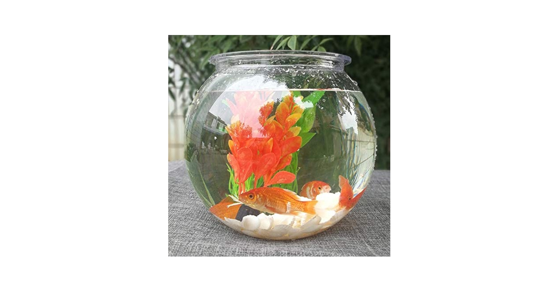 金魚鉢 さん 📌わるるぎ 金魚鉢ちゃん クリアフィギュア 📌Warurugi