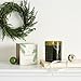 Thymes Frasier Fir Candle - Molded Green Glass Jar with Pine Needle Design - Winter Candle Gifts for Women & Men - Fresh Home Fragrance - Notes of Crisp Siberian Fir, Cedarwood & Sandalwood (6.5 oz)