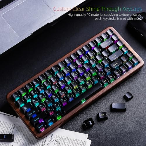Image of Womier Frosted Jelly Keycaps, Clear Shine Through Keycaps