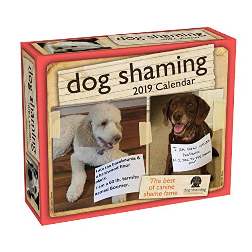 Dog Shaming 2019 Day-to-Day Calendar