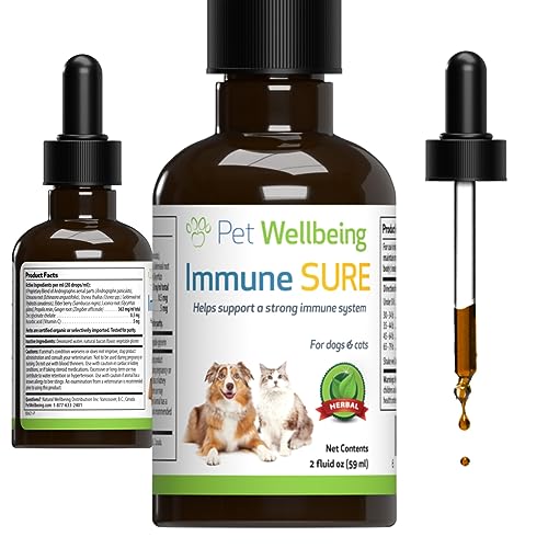 Pet Wellbeing Immune Sure for Dogs – Supports Normal Immune Defenses, Gut Flora Balance, Andrographis, Echinacea, Vitamin C, Zinc – Veterinarian-Formulated Herbal Supplement 2 oz (59 ml)