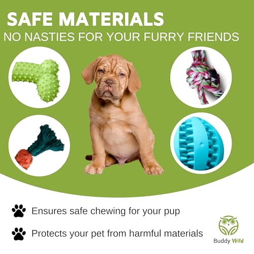 Robustes Hundespielzeug Buddy Wild für Outdoor-Aktivitäten