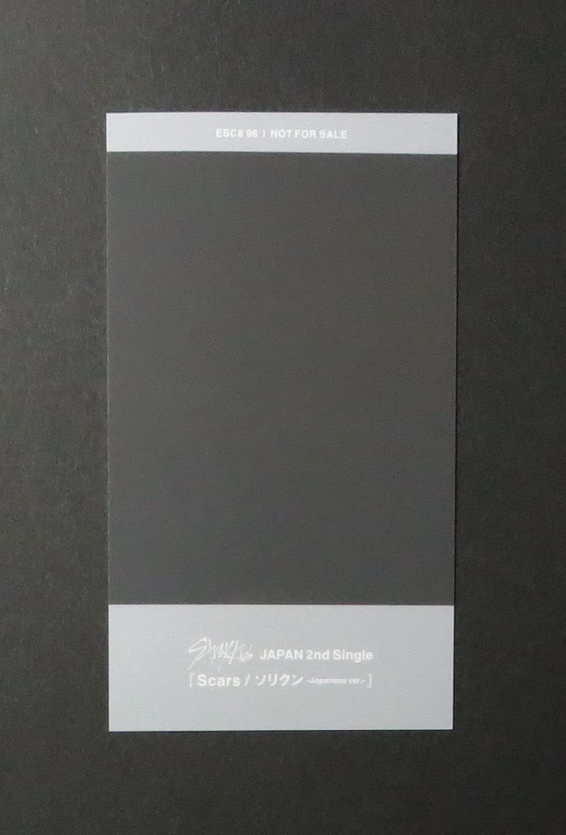 Amazon.co.jp: Stray Kids Scars FC限定盤 E トレカ フォトカード I.N