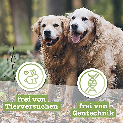 Chewies Lucky Bits Kaninchen & Huhn Senior Hundeleckerli - Hunde-Leckerlis getreidefrei & Soft mit viel Protein und Superfoods wie Bierhefe oder Ginkgo, ohne Zucker (80 g)