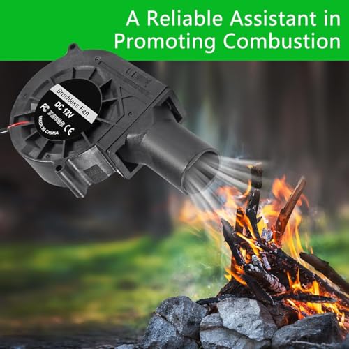 Radiallüfter 12V 20V Kühlung Lüfter mit controller für Haushaltsgeräte,Gebläse Lüfter für Belüftung Lüfterwechsel BBQ Aufblasbar Kamin,Turbinengebläse für Heizgeräte Grill BBQ Picknick (Europlug)