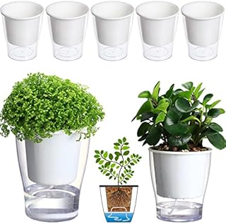 5-Pack 4.3 Inches Clear Self-Watering Planters Small African Violet Pots Plastic Plant Pots Wicking Flower Pots for Indoor Plants, Herbs, African Violet, Ocean Spider Plant, Orchid Pot, Garden Pots