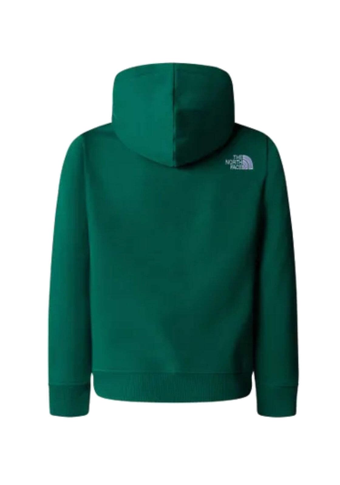The North Face Youth Drew Peak, Sudadera con Capucha para Niños