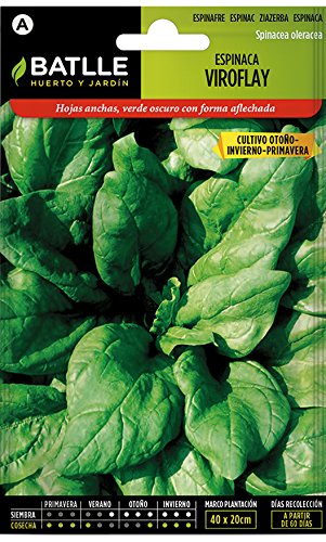 Semillas Hortícolas - Espinaca Viroflay - Batlle: Amazon.es: Jardín