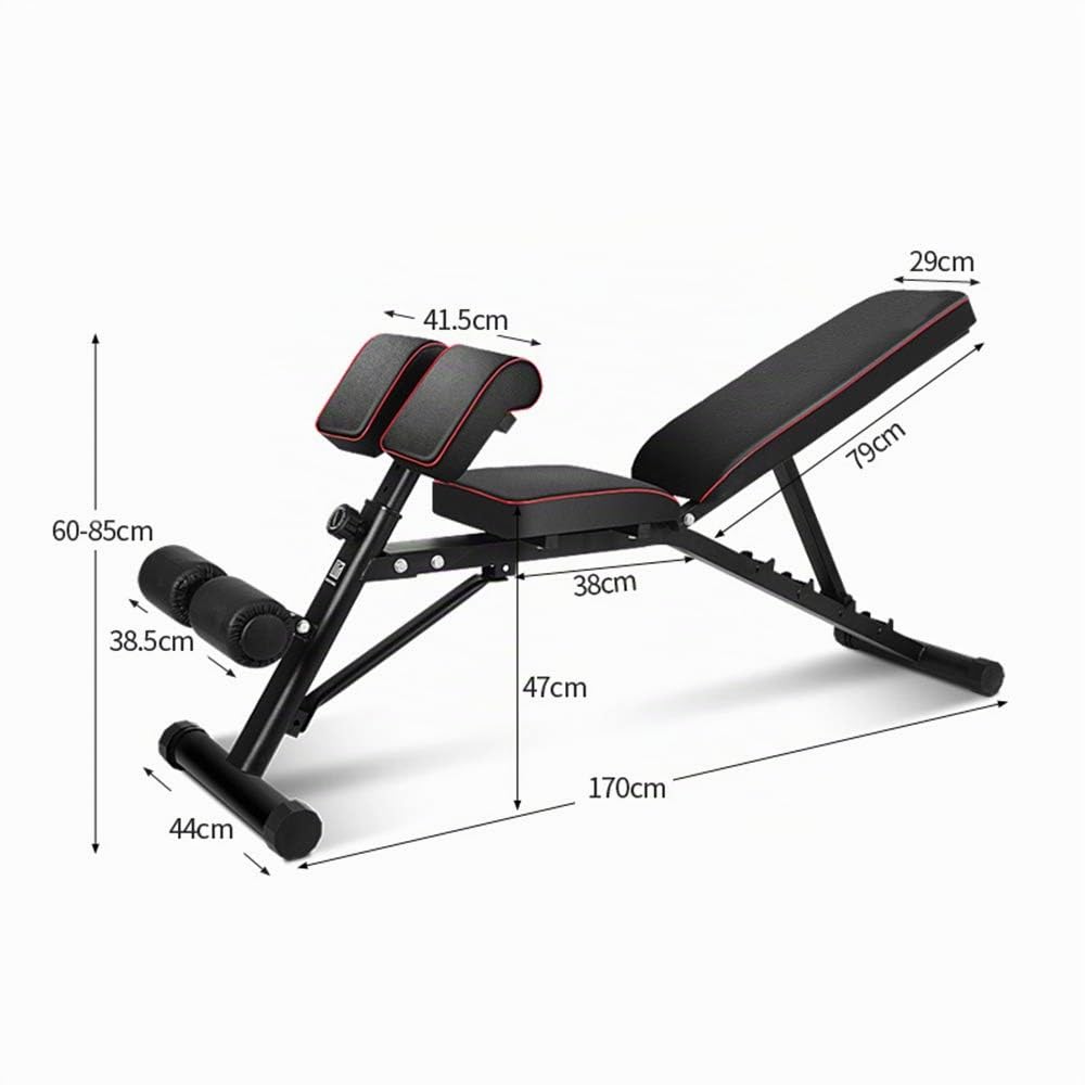 sogesfurniture Panca per Pesi Pieghevole Panca inclinata variabile negativa/Scomparto, Panca Fitness Multifunzione, Trainer Addominale e Schiena, con Schienale Regolabile, BHEU-PSBB004