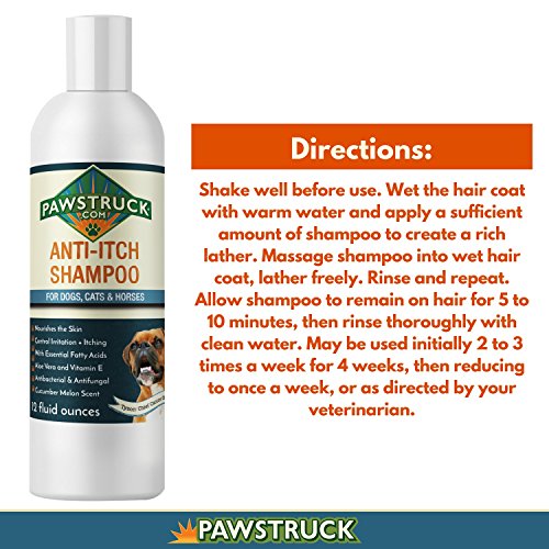 Shampoo for Dogs | Natural & Made in USA | Safe & Effective for Puppies & Pets | Powerful to Clean, Bathe, Freshen, & Remove Odors (Anti-Itch Shampoo (Cucumber Melon))