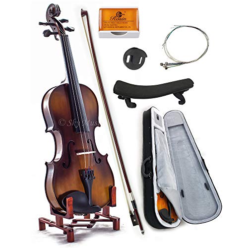 13 Best Student Violins Reviews (2021)