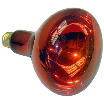 Merco 000372Sp Infra-Red Lamp 120V 250W R40 Med Base Duke Star Merco Food Warmer 00372Sp 381033