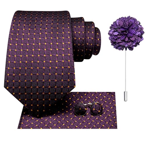 Image of Hi-Tie Mens Paisley Floral Striped Ties Set Silk Necktie and Lapel Pin for Men Pocket Square Cufflinks Set Business Wedding