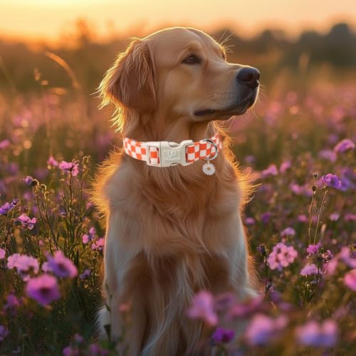 Image of Gingham Fall Dog Collar - Adjustable Orange Picnic Checkered Dog Collar with Daisy Pendant, Classic Autumn Dogs Collars for Girl Boy Dogs