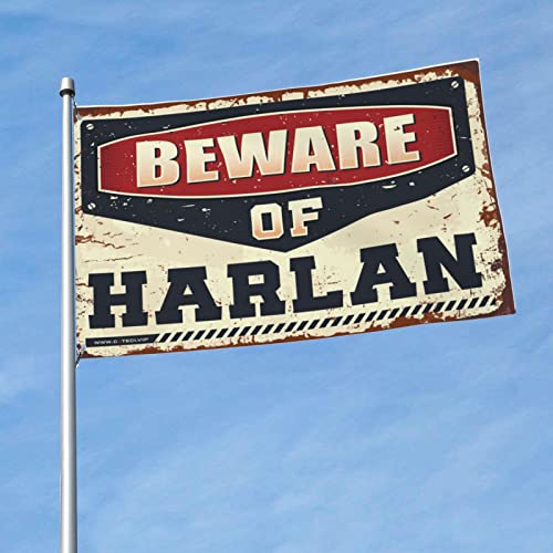 Banderas divertidas gaeruite Harlan de 152 x 244 cm como tapiz de pared grande