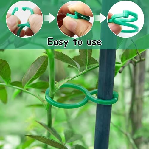 FESSOSKO Pflanzenclips 50 Stück - Wandbefestigung Für Kletterpflanzen