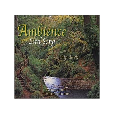 Bird Song