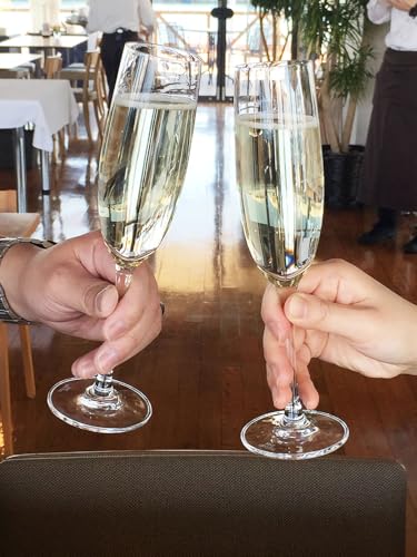 東洋佐々木ガラス シャンパングラス PALLONE RN-10254CS