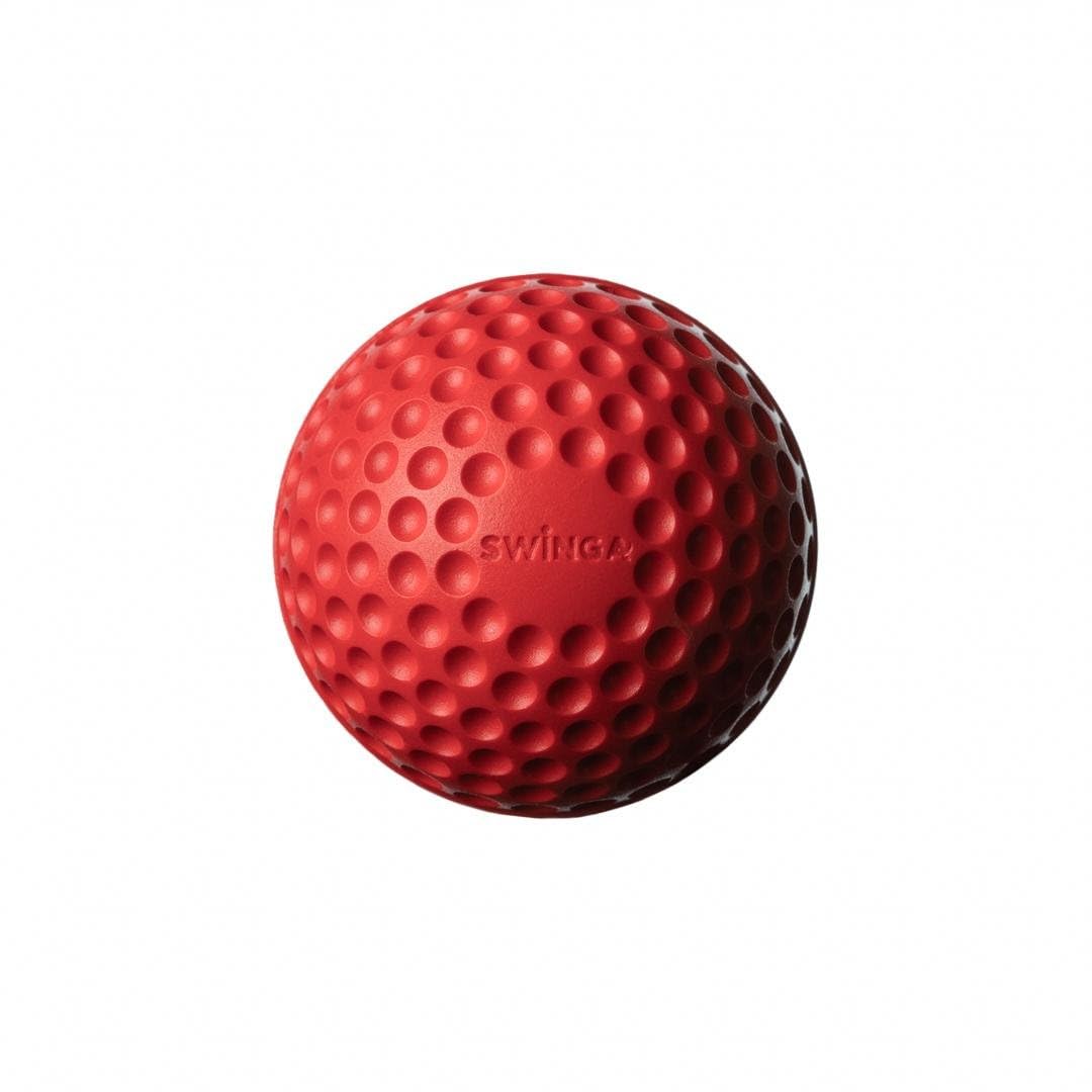 SG Swinga Synthetic Cricket Ball - Ideal for Match Practice and Training, Suitable for All Age Groups, Indoor/Outdoor Use - White (B0CX4RNNM1) Amazon Price History, Amazon Price Tracker