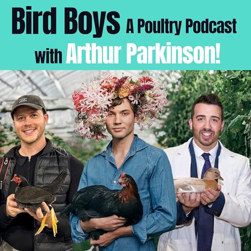 Chicken Chat with Arthur Parkinson! cover art