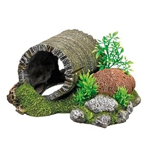 Nobby, Tunnel in Legno con Piante, 18,5 x 15,5 x 9 cm