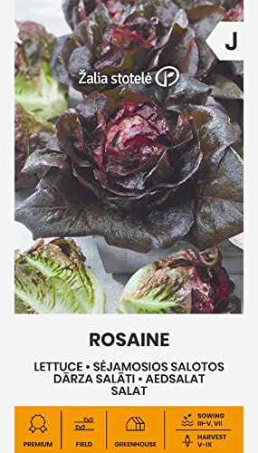 Zalia stotele | LECHUGA ROSINA de Semillas | Semillas de hortalizas | Semillas lechuga | Semillas de plantas | Semillas de jardín | 1 paquete Cover