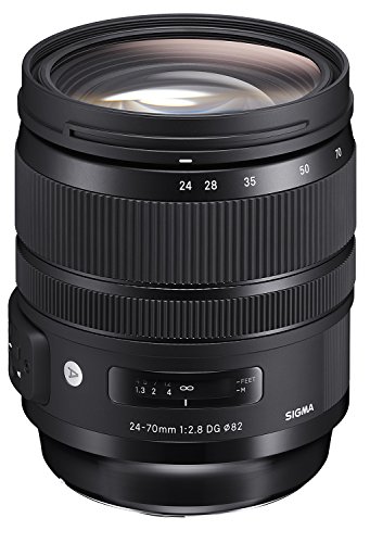 Sigma 24-70mm f/2.8 lens