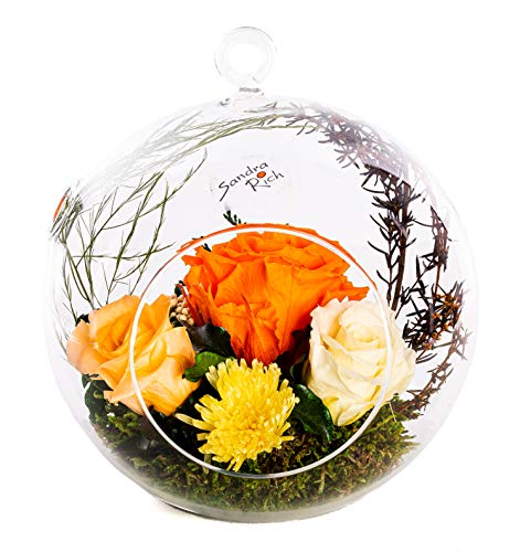 Rosen-Te-Amo, Geschenk für sie || Valentinstag konservierte ewige Rosen im hängenden Glas Vase | duftend | Großartiges Gesteck handgefertigt|| Infinity Rosen: Deko & Geschenke für Frauen Cover