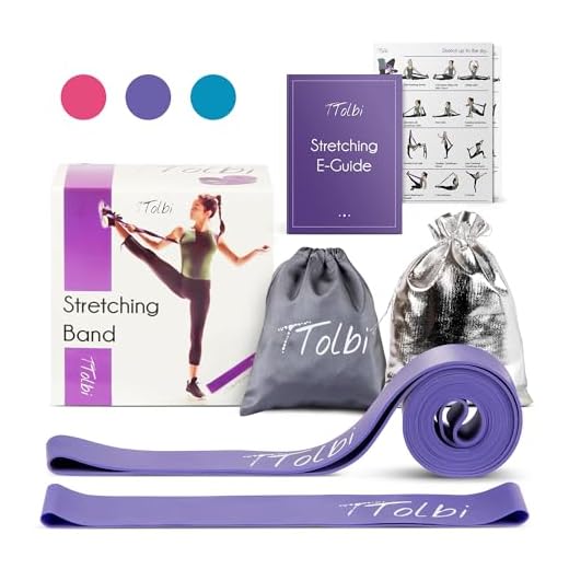 Stretch Bands for Dancers, Ballerinas and Gymnasts | Dance Stretch Bands for Flexibility, Mobility and Strength | Shiny Bag, Travel Bag, Printed Stretches and Stretching E-Guide (Purple Regular)