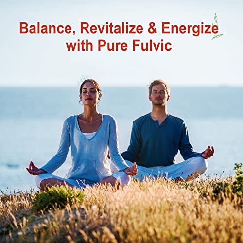 Vital Earth Minerals 5547265 Fulvic Minerals Liquid – Fulvic Acid Supplement thumb #7