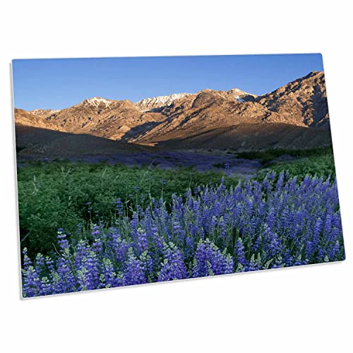 3dRose California, Sierra Nevada. Inyo Bush Lupine Blooms - Pad para Escritorio miniatura 1