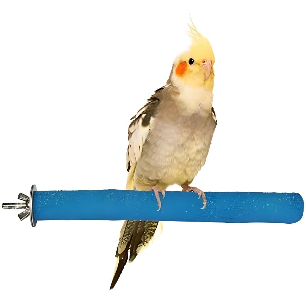 2Pcs Parrot Perch Stand, Natural Wood Bird Perch Stand Platform Paw Grinding Sticks, Cage Accessories Exercise Toys for Budgies Parakeets Cockatiels (Random Color) - image 2
