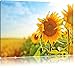 Produktbild Pixxprint Sonnenblumen Sonnenblumenfeld Sonnenblumenkerne Sonnenschein, Größe: 80x60cm, Leinwandbild, fertig gespannt, Wandbild, Dekoration, Kunstdruck, kein Poster