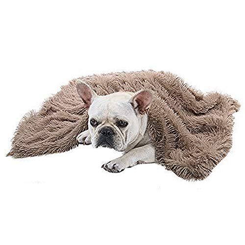 VIAGE Premium Super Soft Fluffy Fleece Dog Blanket, Soft and Warm Pet Throw for Dogs & Cats (Small (1422