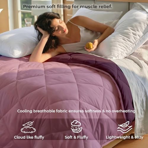 Image of AYKA Reversible AC Comforter 150 GSM Lightweight Microfiber Summer Blanket for Double Bed (90x100 Inches) | Soft Cooling Quilt, Breathable All Season Duvet for AC Room | Cameo & Plum