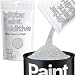 Hemway (Silver) Glitter Paint Additive Crystals 100g / 3.5oz for Acrylic Latex Emulsion Paint - Interior Exterior Wall, Ceiling, Wood, Varnish, Dead Flat, Matte, Gloss, Satin, Silk
